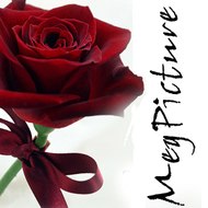 MegPicture