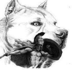 Pitbull