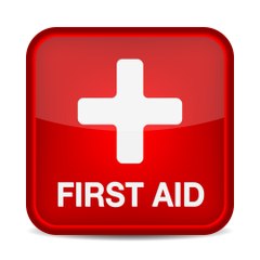 Paediatric First Aid Course