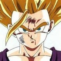 Gohan29