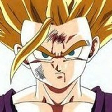 Gohan29