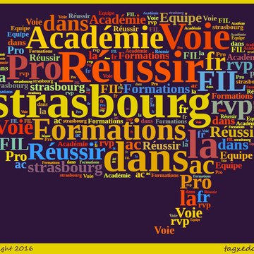 Réussir dans la voie professionnelle