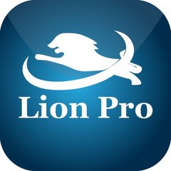 LionProGroupe