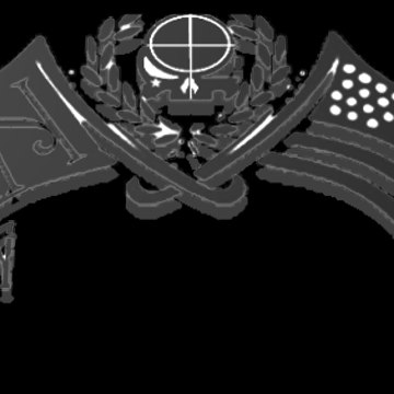 The AssassyNation