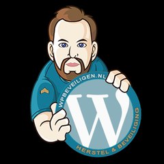 WordPress Repair