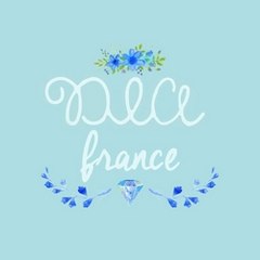 DIA France