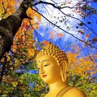 BUDDHA INTERNATIONAL