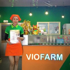 Hồng Ánh Trương Thị