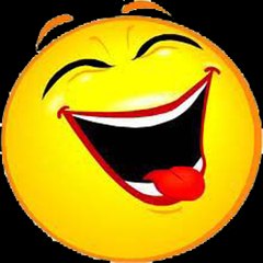Funny Videos