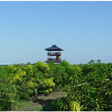 Ladang