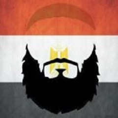 amr zayed