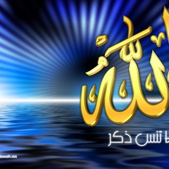 Mansour Ahmed555