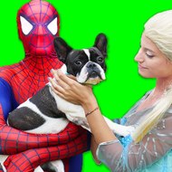 Superhero-Spiderman-Frozen
