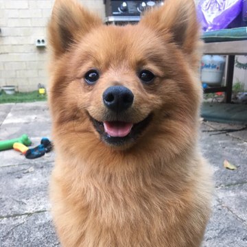 Azıcık da ben güleyim