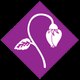 rg pharma