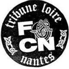 fcn_follower