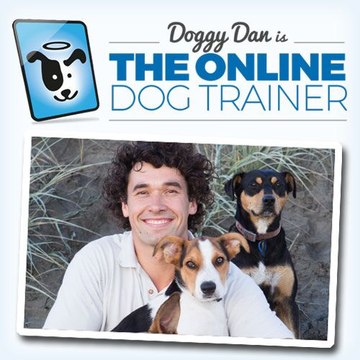 The Online Dog Trainer