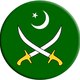Pakistan TV