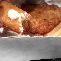 JunkFoodTasterDotCom