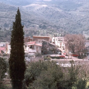 XELIANA TV