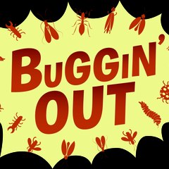 Buggin'Out