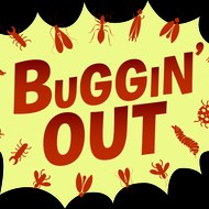 Buggin'Out