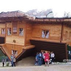 Funny Log