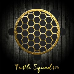 Turtle Squadron TV