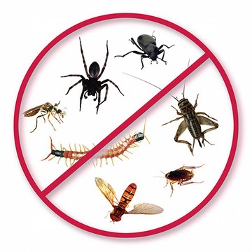 Willards Pest Control