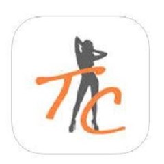 Travcompany Web