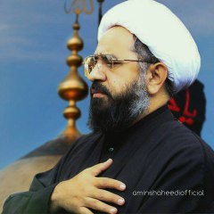 Muhammad Amin shaheedi official