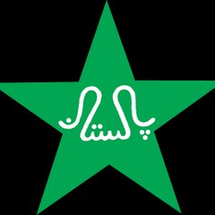 Cricket Lovers