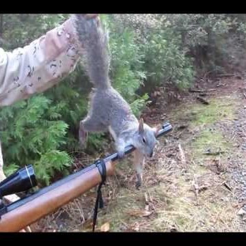 狩猟チャンネル