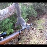 狩猟チャンネル