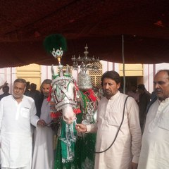 imam Bargah Gulshan e Zahra chak 237