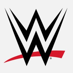 Today WWE