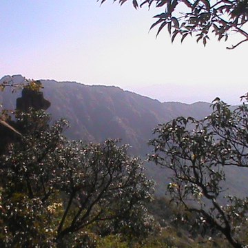 A Nature Lover