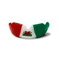 Mouth guard