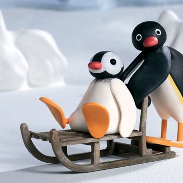 Pingu Official