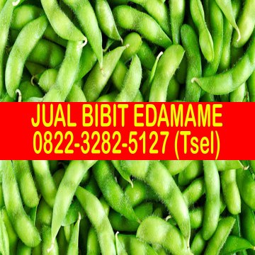 0822-3282-5127 (Tsel), Jual Bibit Edamame
