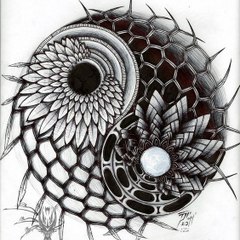 Ying Yang