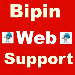 Bipin Web Support