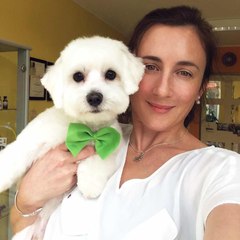 Hundesalon Ziborich