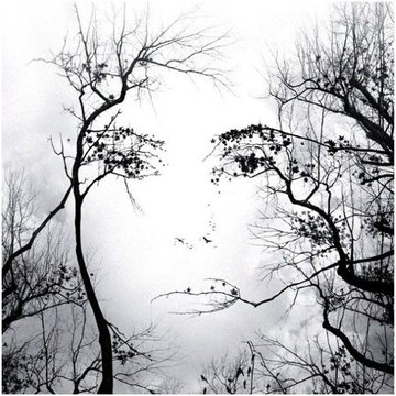 CURIOSIDADES Y MASSS