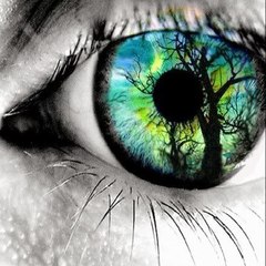 Devil'sEye