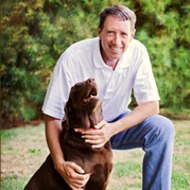 Michael D. Meshnick DDS PC