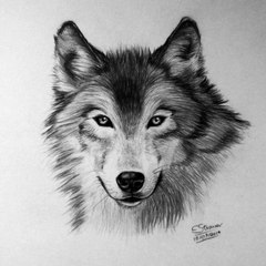 LethalChris Drawing