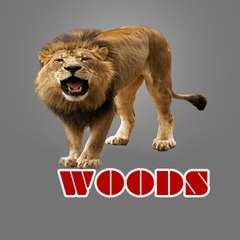 WOODS