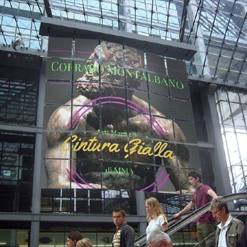 Cintura Gialla di MMA