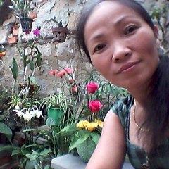 Thu Hien Le